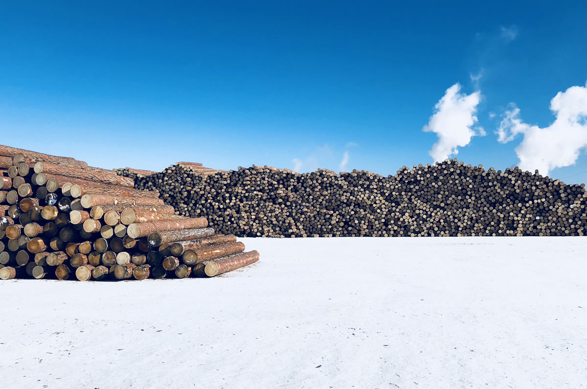 株式会社プロセス井口