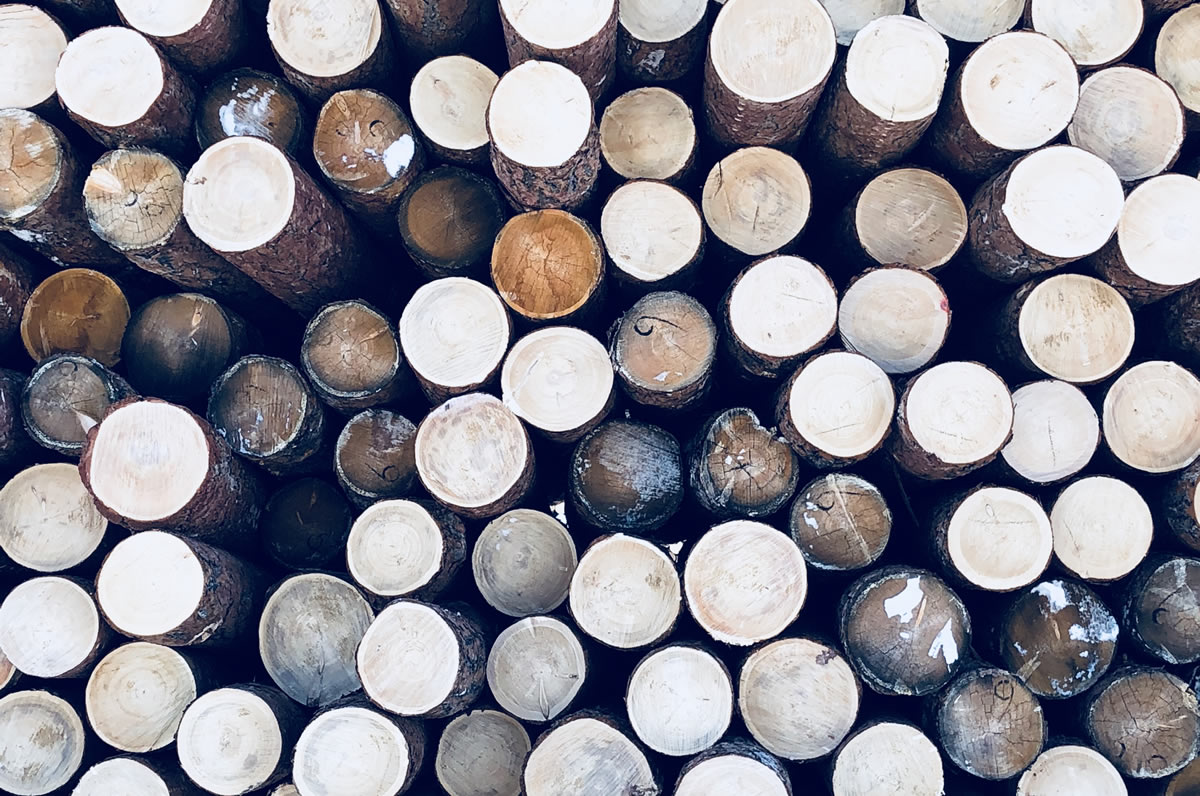 株式会社プロセス井口